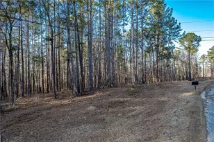 00 N Steel Bridge Rd, Eatonton, GA 31024 - Photo 1