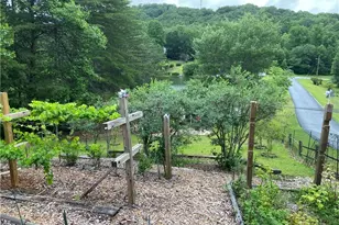 142 N Quail Trl, Clarkesville, GA 30523 - Photo 69