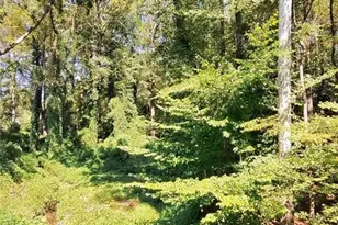 [Address not provided], Brookhaven, GA 30319 - Photo 7