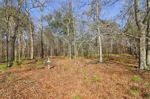 3180 NE Spring Lake Dr NE, Conyers, GA 30013 - Photo 45