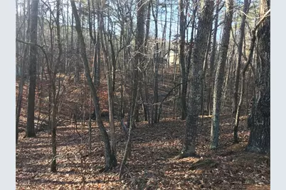 114 Lone Bear Drive, Waleska, GA 30183 - Photo 7