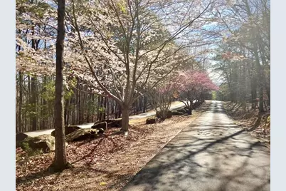 114 Lone Bear Drive, Waleska, GA 30183 - Photo 3