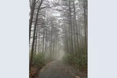 114 Lone Bear Drive, Waleska, GA 30183 - Photo 9