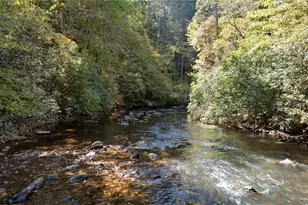 1062 River Bend Rd, Ellijay, GA 30540 - Photo 73