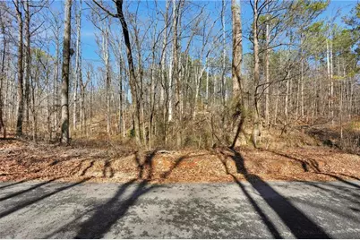 0 Pickett Bridge Road, Covington, GA 30016 - Photo 5