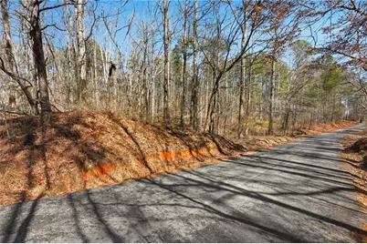 0 Pickett Bridge Road, Covington, GA 30016 - Photo 1
