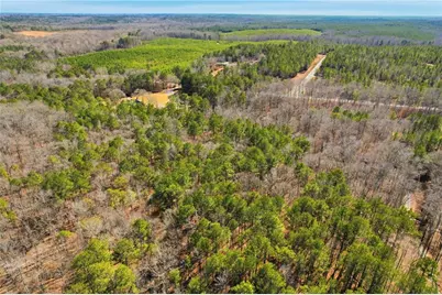 0 Pickett Bridge Road, Covington, GA 30016 - Photo 3