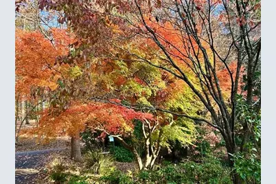 543 Martins Grove Road, Dahlonega, GA 30533 - Photo 47