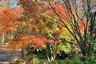 543 Martins Grove Rd, Dahlonega, GA 30533 - Photo 47