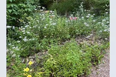 543 Martins Grove Road, Dahlonega, GA 30533 - Photo 51