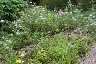 543 Martins Grove Rd, Dahlonega, GA 30533 - Photo 51