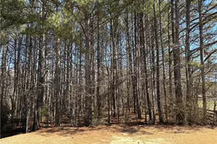 3060 Blackburn Dr, Cumming, GA 30040 - Photo 45