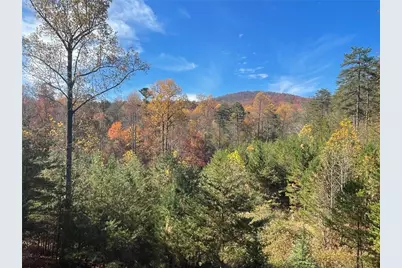 160 Wood Poppy View, Big Canoe, GA 30143 - Photo 59