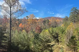160 Wood Poppy View, Big Canoe, GA 30143 - Photo 59