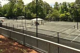 160 Wood Poppy View, Big Canoe, GA 30143 - Photo 93