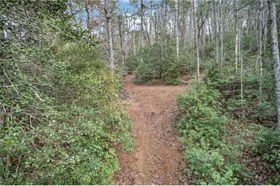 496 John Crow Road, Dahlonega, GA 30533 - Photo 61