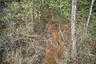 496 John Crow Rd, Dahlonega, GA 30533 - Photo 59