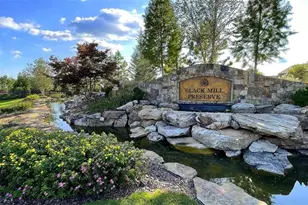 33 Ivey Hollow Cir, Dawsonville, GA 30534 - Photo 3