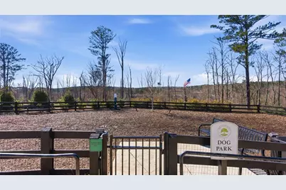 429 Chandler Lane, Woodstock, GA 30188 - Photo 61