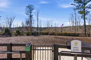 429 Chandler Ln, Woodstock, GA 30188 - Photo 53