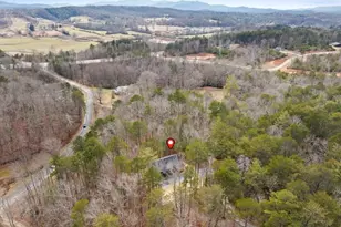 150 Williams Branch Dr, Morganton, GA 30560 - Photo 27