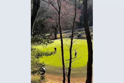 10 Chestnut Knoll Point, Jasper, GA 30143 - Photo 43