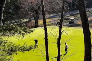 10 Chestnut Knoll Point, Jasper, GA 30143 - Photo 43