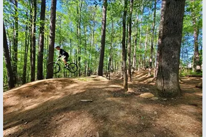 385 Tyson Circle, Roswell, GA 30076 - Photo 31