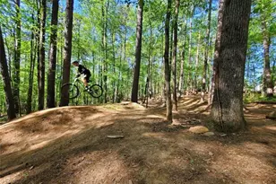 385 Tyson Cir, Roswell, GA 30076 - Photo 31