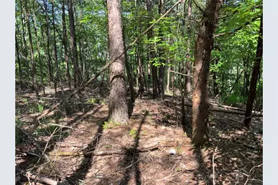 1335 Birch Lane, Ranger, GA 30734 - Photo 7