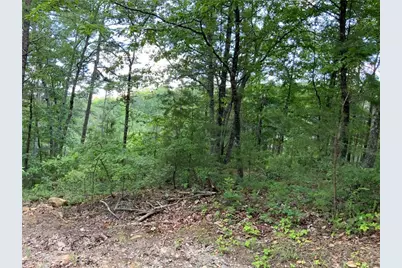 1335 Birch Lane, Ranger, GA 30734 - Photo 9