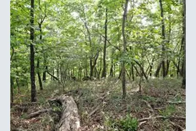 3005 Wild Turkey Knoll, Jasper, GA 30143 - Photo 7