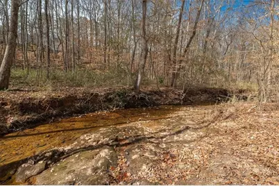 14 Cambridge Lane, Bremen, GA 30110 - Photo 49