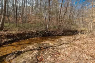 14 Cambridge Ln, Bremen, GA 30110 - Photo 49