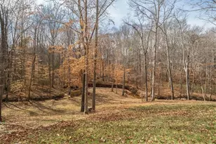 14 Cambridge Ln, Bremen, GA 30110 - Photo 47