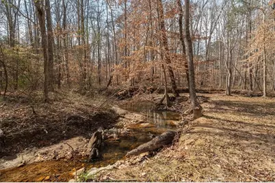 14 Cambridge Lane, Bremen, GA 30110 - Photo 49