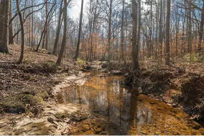 14 Cambridge Lane, Bremen, GA 30110 - Photo 51