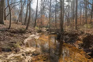 14 Cambridge Ln, Bremen, GA 30110 - Photo 51