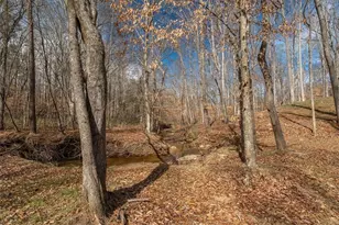 14 Cambridge Ln, Bremen, GA 30110 - Photo 47