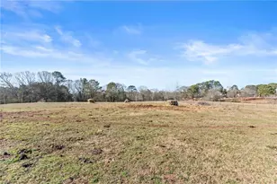 11157 Lewis Braselton Blvd, Braselton, GA 30517 - Photo 89