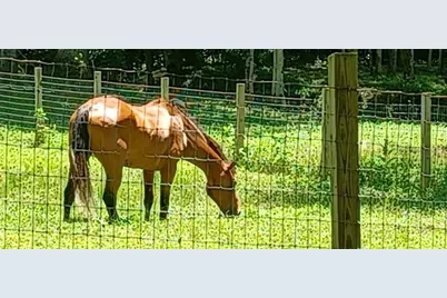 720 Guy Jarrard Road, Dahlonega, GA 30533 - Photo 63