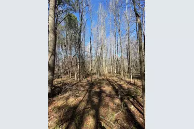 0 Brown Bridge Road, Covington, GA 30014 - Photo 7