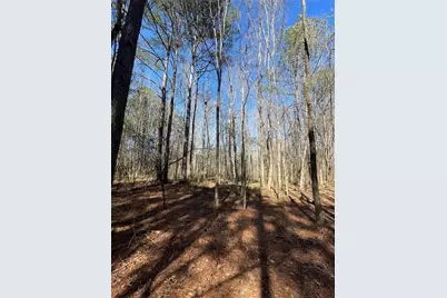 0 Brown Bridge Road, Covington, GA 30014 - Photo 5