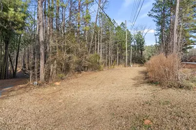 0 Chestnut Road, Covington, GA 30016 - Photo 3