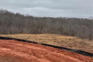 647 Fairview Rd, Pendergrass, GA 30567 - Photo 31