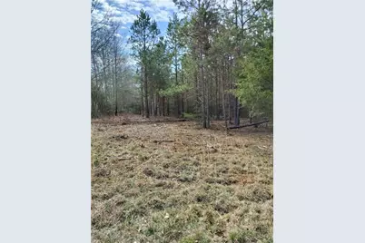 0 Hickory Log Circle, Eastanollee, GA 30538 - Photo 3