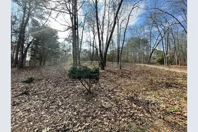 83 Twin Creeks Drive, Bremen, GA 30110 - Photo 15