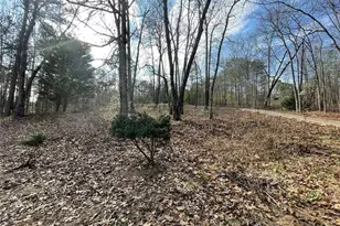 83 Twin Creeks Dr, Bremen, GA 30110 - Photo 15
