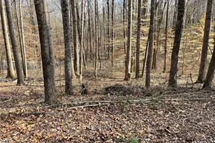 83 Twin Creeks Dr, Bremen, GA 30110 - Photo 11