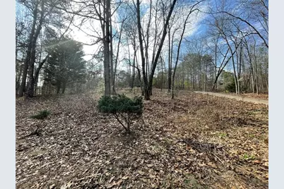 83 Twin Creeks Drive, Bremen, GA 30110 - Photo 15